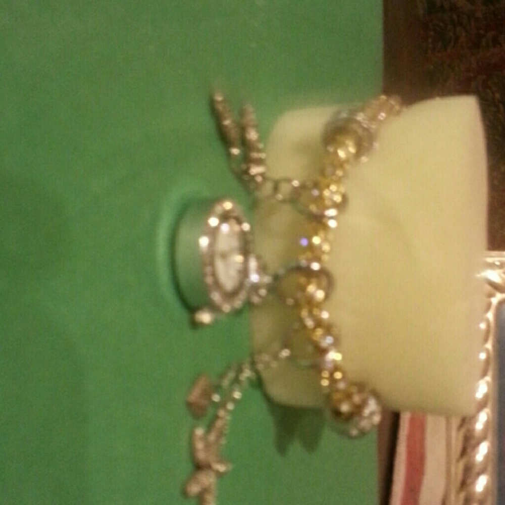 Bracelet watch